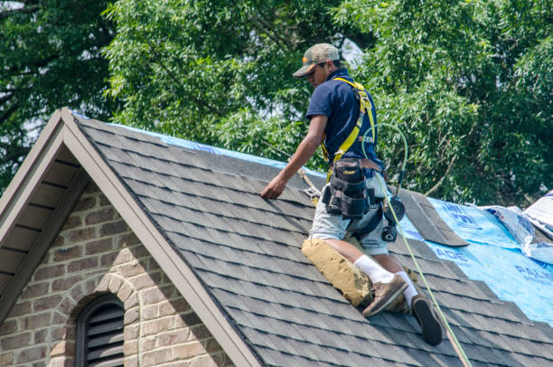 Best Storm Damage Roof Repair  in Huntsville, TN